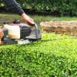 How much are the hedge cutting prices in the UK?