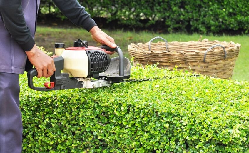 How much are the hedge cutting prices in the UK?