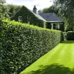 How much are the hedge cutting prices in the UK?